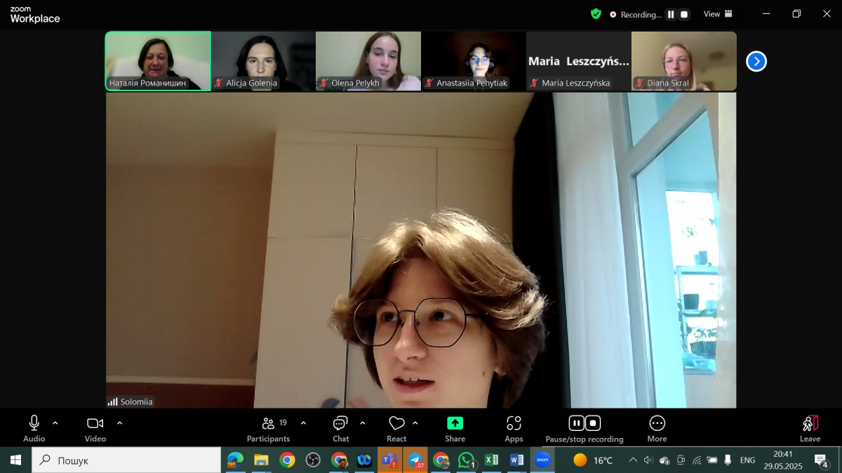 Скріншот з онлайн-заходу проєкту