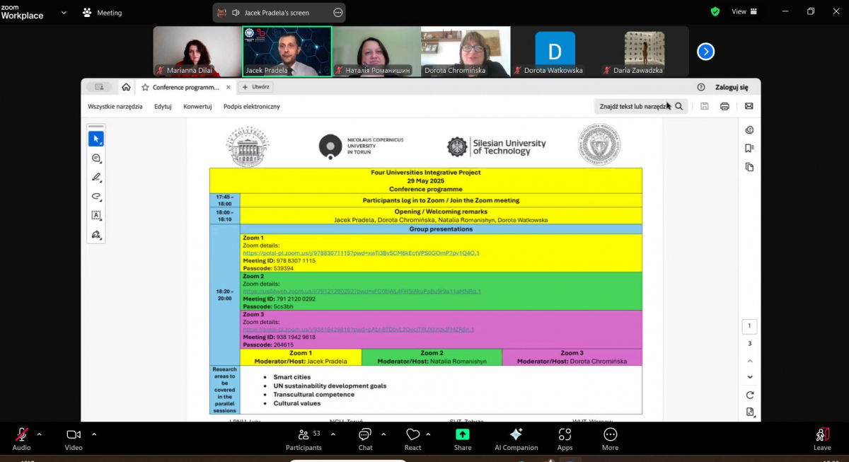 Скріншот з онлайн-заходу проєкту