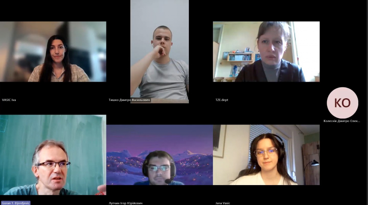 Скріншот з онлайн-зустрічі