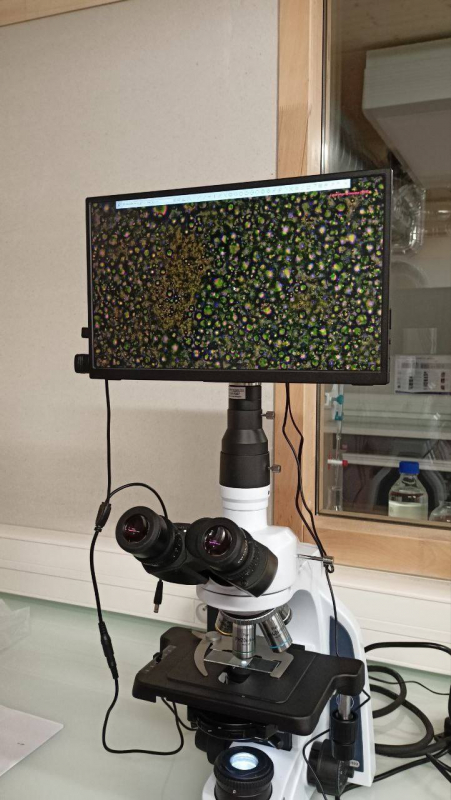 Фото з програми мобільності у Франції