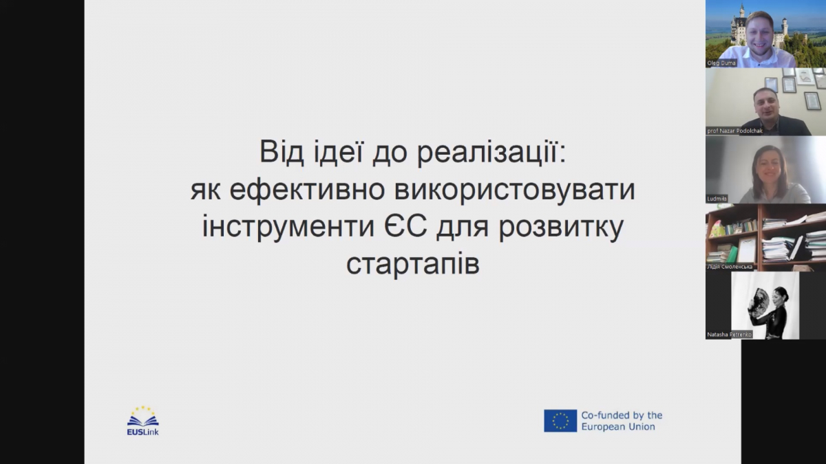Скріншот з онлайн-заходу проєкту