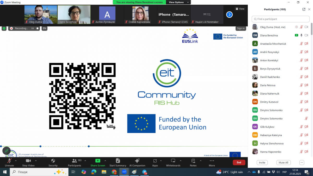 Скріншот з онлайн-заходу проєкту