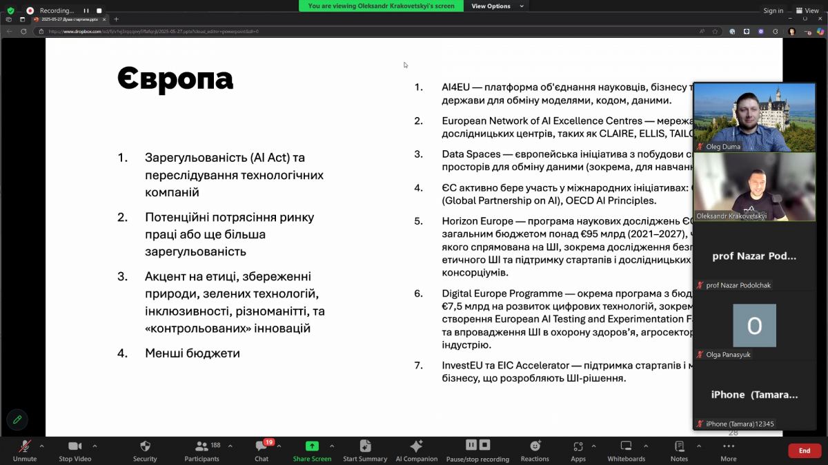 Скріншот з онлайн-заходу проєкту