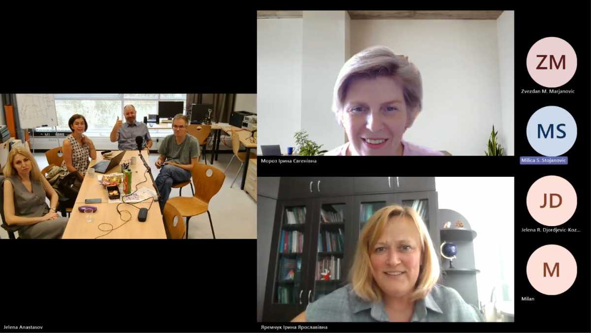 Скріншот з онлайн-лекції