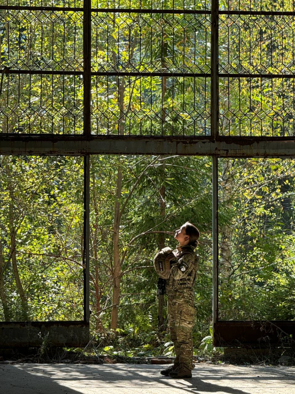 Ілюстрація до матеріалу