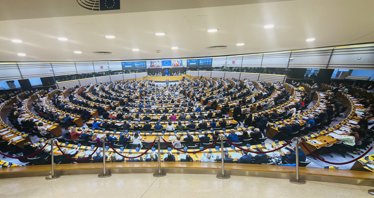 Фото із заходу в Бельгії