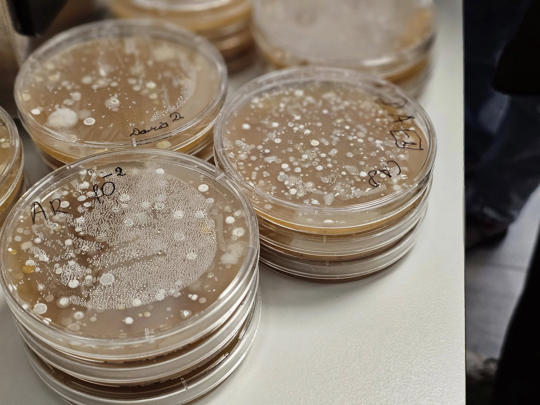 Фото з Літньої школи