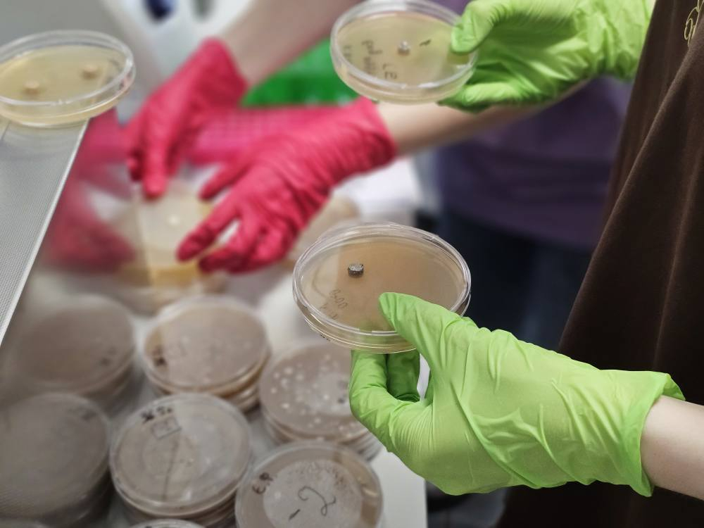 Фото з Літньої школи