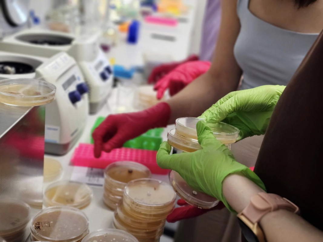 Фото з Літньої школи