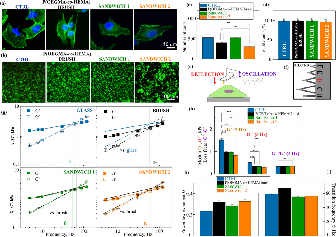 Ілюстрація до матеріалу