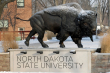Університет штату Північна Дакота