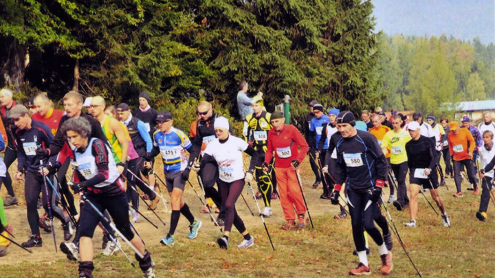 Норвезька ходьба