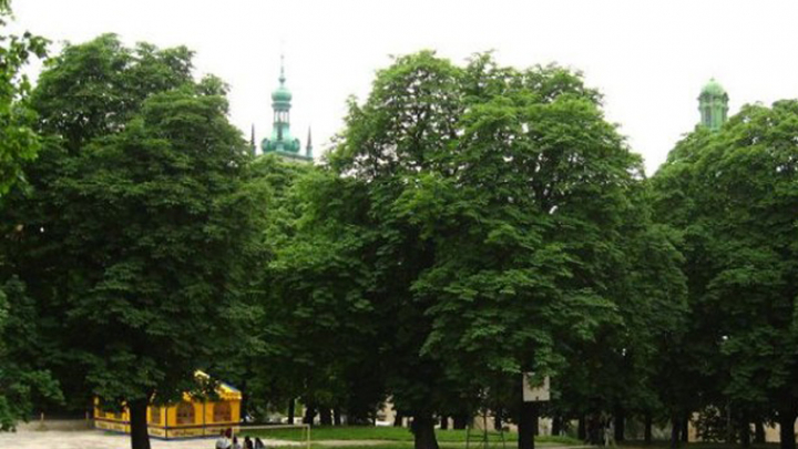 проект реконструкції парку «На валах»