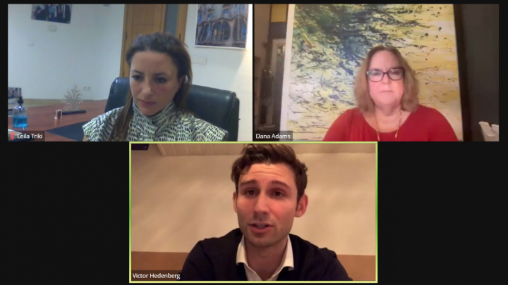 Скріншот з онлайн-заходу